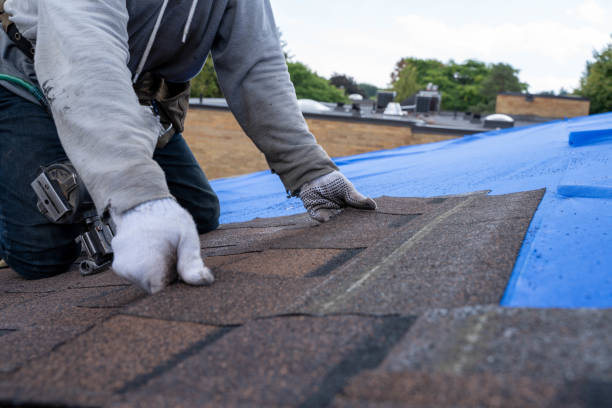 Best Roof Restoration Services  in Bridgman, MI