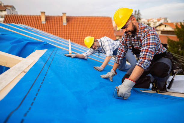 Best Local Roofing Companies  in Bridgman, MI