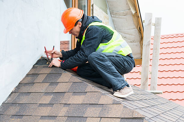 Best Storm Damage Roof Repair  in Bridgman, MI