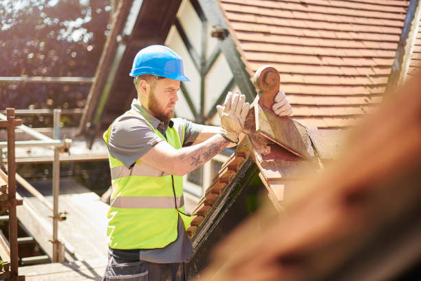 Best Commercial Roofing Services  in Bridgman, MI