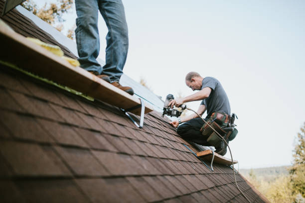 Residential Roof Replacement in Bridgman, MI